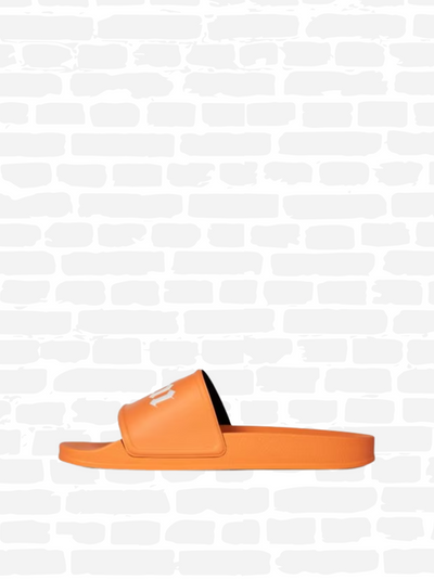 LOGO-PRINT SLIDES